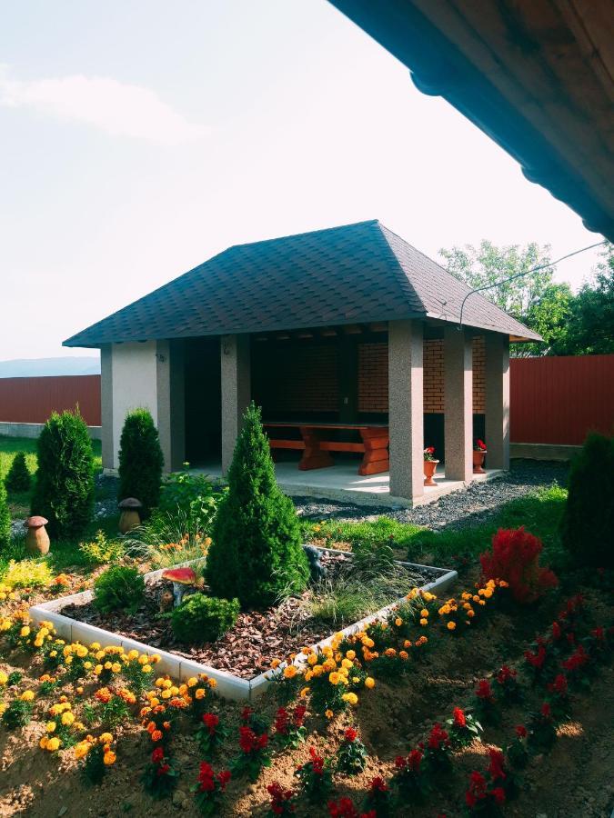 Садиба На Хуторі Solochyn Esterno foto